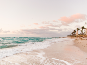 Brevard County Victim Advocate