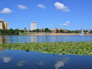 Duval County Victim Advocate