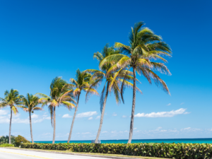 Monroe County Victim Advocate