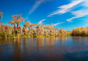 Wakulla county